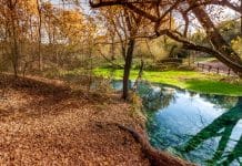 Realizing Trustworthy AI – Sixth Requirement: Societal and environmental well being